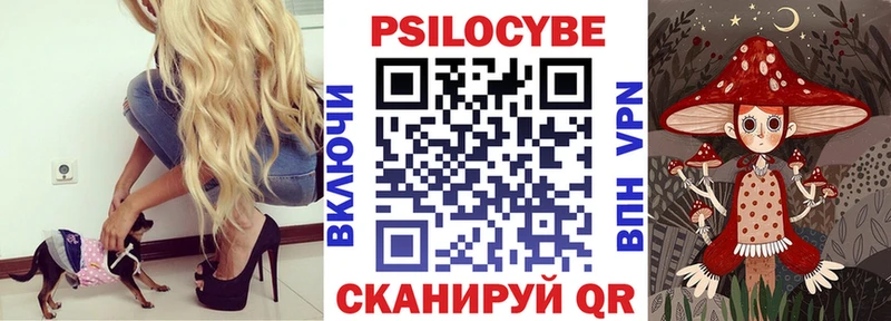 Псилоцибиновые грибы мицелий  Тобольск 