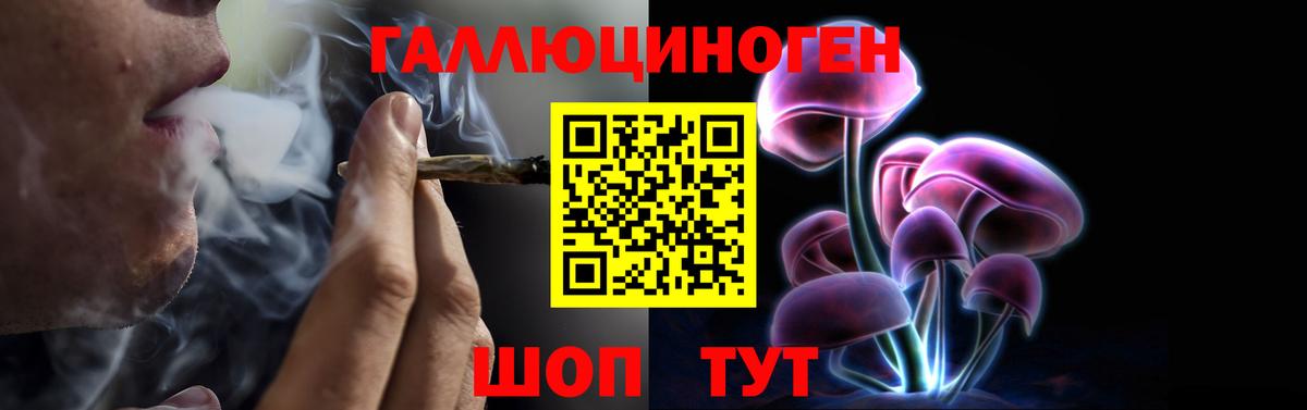 Тобольск  Псилоцибиновые грибы GOLDEN TEACHER  Вход с VPN 